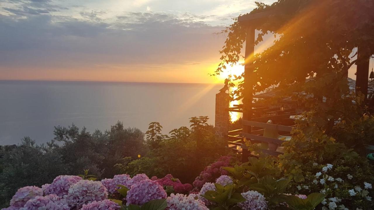 Analipsi Sea View Hommes Villa Zagorá Buitenkant foto