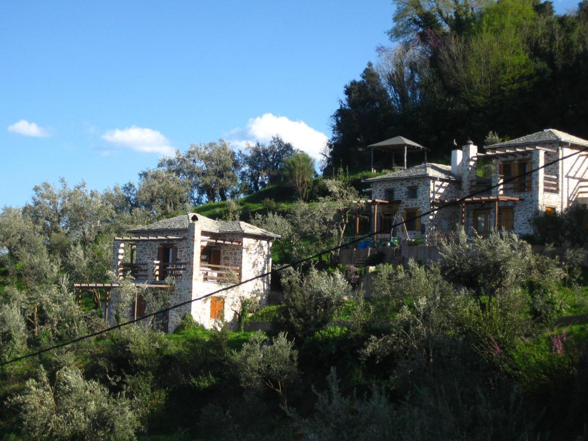 Analipsi Sea View Hommes Villa Zagorá Buitenkant foto
